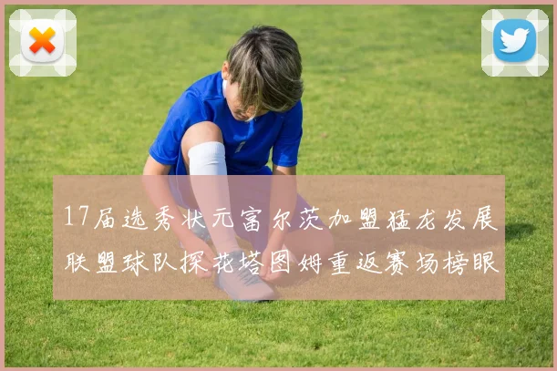 17届选秀状元富尔茨加盟猛龙发展联盟球队探花塔图姆重返赛场榜眼球员无球可打