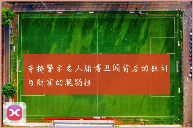 夸梅警示名人赌博丑闻背后的教训与财富的脆弱性