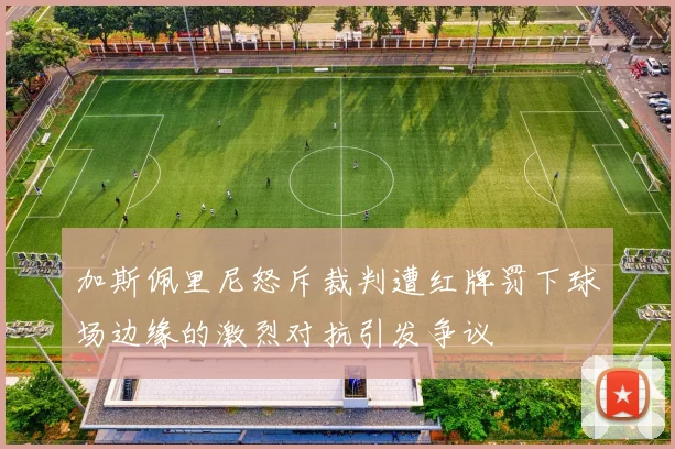 加斯佩里尼怒斥裁判遭红牌罚下球场边缘的激烈对抗引发争议