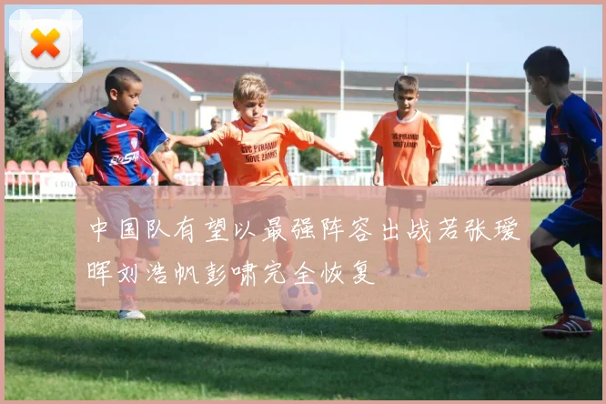 中国队有望以最强阵容出战若张瑷晖刘浩帆彭啸完全恢复