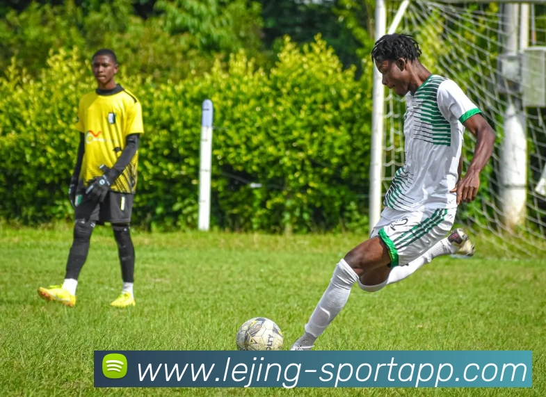 App Interface Preview